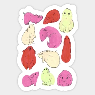 Guinea Pig, Cute Pink and Orange Pattern Sticker